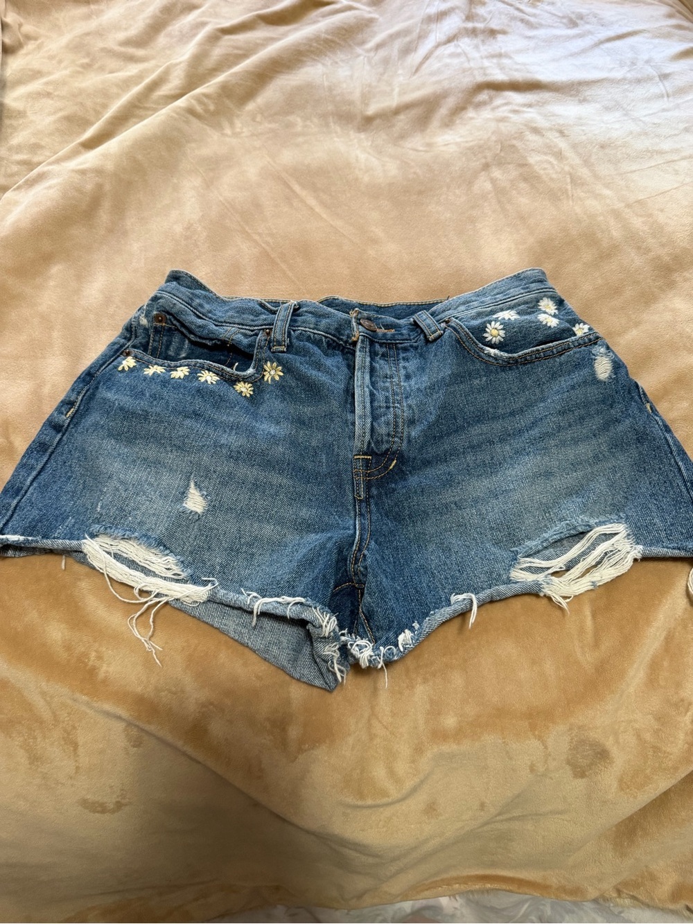 We the Free People High-Rise Distressed Daisy Embroidered Denim Shorts 29/8